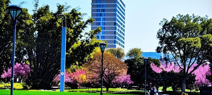 Academic Exchange Center of Lishui University Hotels in Lishui
