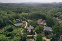 自在小院柿子 隨縣住宿飯店