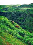 Qingfeng Banshan Homestay - جديد