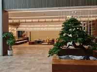 沂蒙山蒙童勝境度假區暉廷雲居酒店 - 健身室/gym room