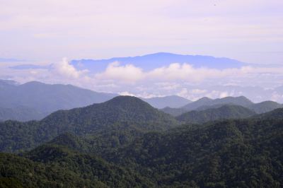 ホテル周辺 グランド イオン デリーマン ホテルの写真