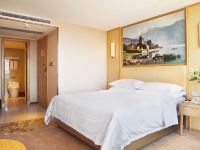 维也纳国际酒店(湛江高铁西站店) - 特价大床房