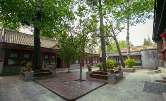 4. Lemeng H..