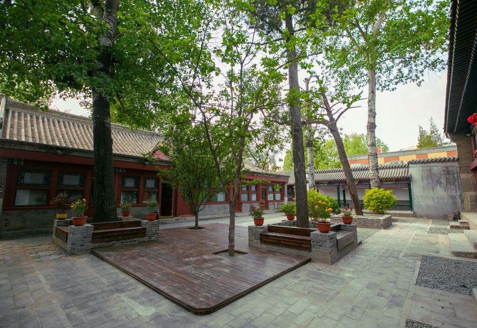 6. Lemeng H..