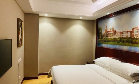 Vienna International Hotel (Zhuzhou Liyu) - Housity