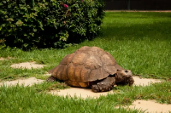 Lake Victoria Granada Hotel