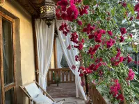 Huocheng Jianshu B&B (Jieyou Princess Lavender Farm)