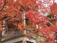 Moganshan Manting Garden View Holiday Villa 두월후 맨션 주변 호텔