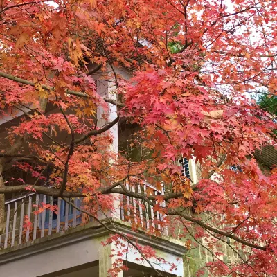 Moganshan Manting Garden View Holiday Villa Hotels near Du Yuesheng Mansion