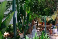 Fuxian Lake Muyi Garden Homestay Hotel dekat Fuxianhu Land and Water Passenger Transport Terminal