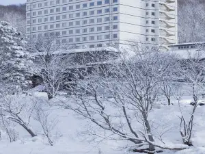Popular Hot Spring Hotels in Date