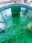 Huashan Hot Spring International Hotel - Hot Springs