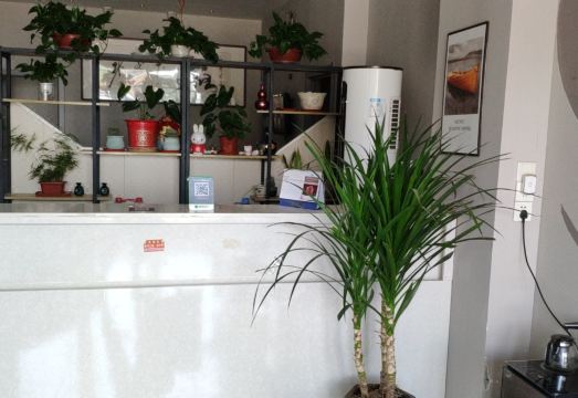 Jiaozhou Yueman Hotel 내부