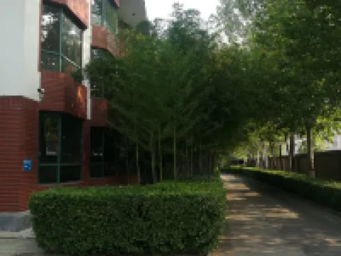 Yaoyun Hotel Hotels in Wangdu