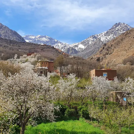 Dar Assarou - Toubkal National Park Lodge