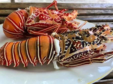 ViluVeli Holiday Retreat Отели в г. Nolhivaranfaru