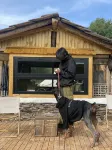 東陌咖啡キャンプ場（塔公草原） - 2つ星