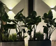 Qing'e  B&B (Emeishan Visitor Center Store)