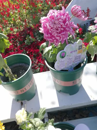 Changqing Homestay Отели рядом с достопримечательностью «Heilongjiang Vocational and Technical College of Construction»