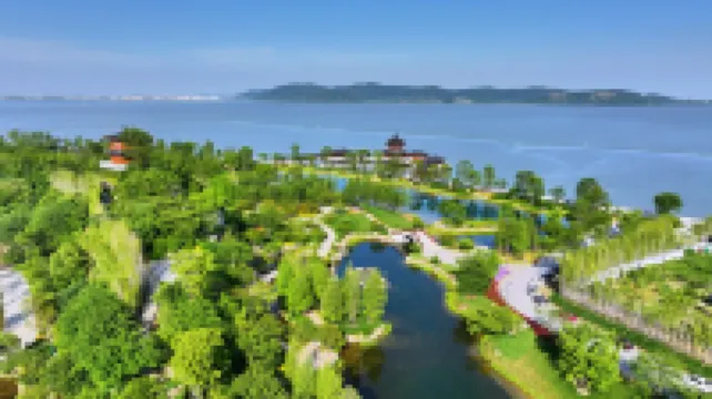 Da Nianhua Bay Dayouqiu · Youju