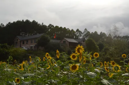 Huanjiang Hongxin Homestay Отели рядом с достопримечательностью «Guangxi Mulun Nature Reserve»