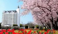 東條湖綠色廣場飯店 Shingu Shrine附近的飯店