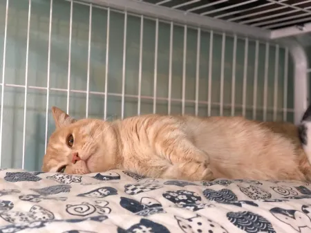 Yourlan Hotel Отели рядом с достопримечательностью «Yubeng Lower Village»