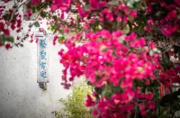 Yishu Ancient House Hotel in zona Butterfly Spring