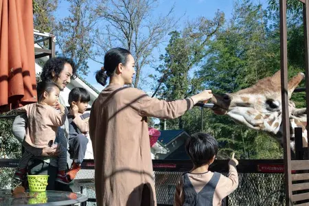 THE BAMBOO FOREST Отели в г. Нагара