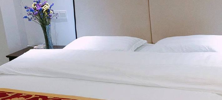 300 Mountain Hot Spring Business Hotel Anyuan İlçesi otelleri