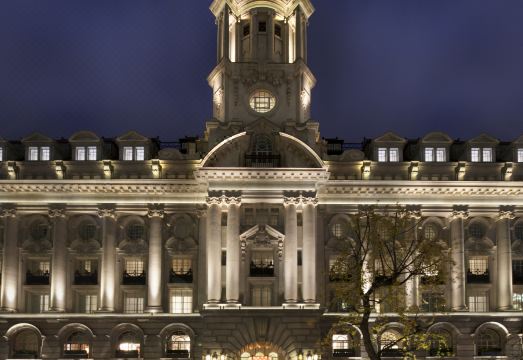 5. 로즈우드 워싱턴..