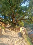 Xiaoyin Jiatang Boutique Guesthouse Hotel a Yangjiatang Village/Youtian Village