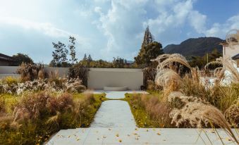 Moganshan Mountain Ye Moyu Homestay