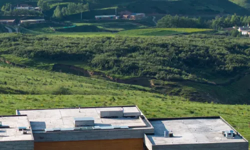 MuYunXingSu