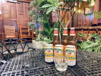 Poolhouse Hostel Hotels in Vang Vieng