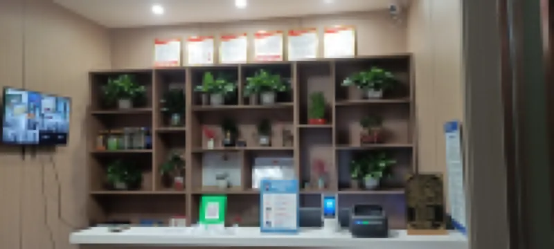 Borei Hotel