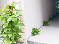 Molly Resort(Wuhan Donghu Scenic Area Branch) Hotels in der Nähe von Wuhan Botanical Garden
