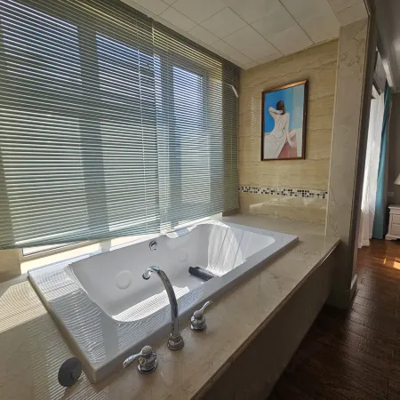 Changchun Light Luxury Banshan Hot Spring Homestay