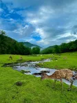 Jinlin Wansheng Ruiju Homestay