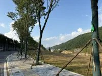 Double ping Vista Lodge