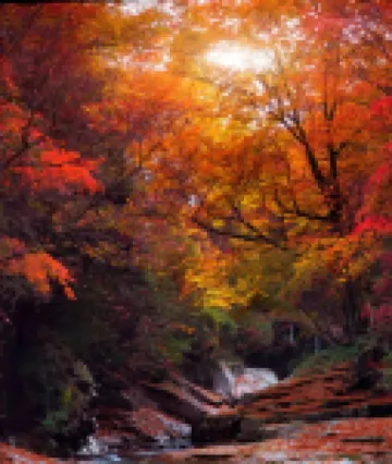 光霧山鄉里人家