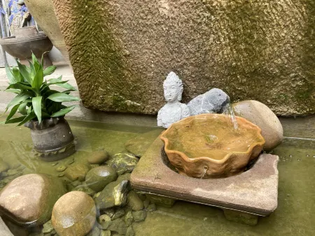 Danqing Cottage Homestay Отели в г. Вейшань