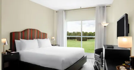 Meliá Orlando Celebration Отели рядом с достопримечательностью «Олд Таун»