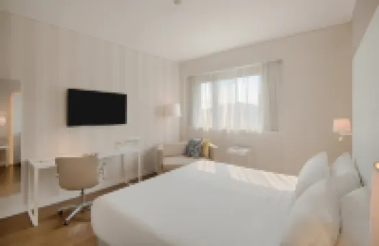 Hotel NH Torino Centro