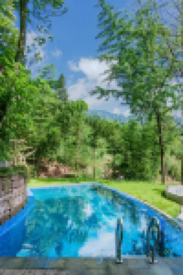 Persimmon Tree Homestay (Bifengxia Scenic Area)