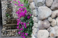 Shuxiang Leisure Homestay