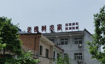 Laoyushu Farmhouse (Yukou Branch)