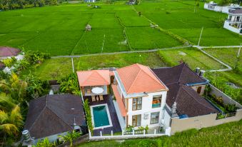 Tembaga Villa by EVDEkimi-Designer villa with Pool and Breathtaking Rice field View-Long stay extra