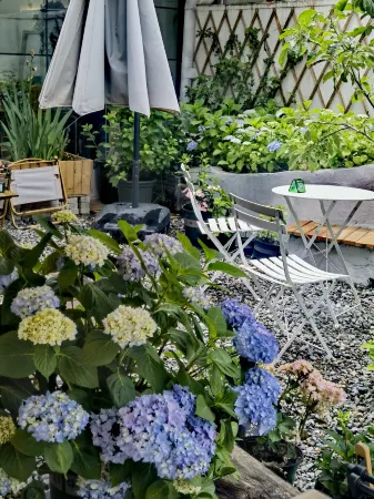 sanbuqucoffeebnb Отели в г. Нюинтри