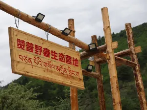 뎨부 짠푸 예서 성타이 잉디